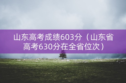 山东高考成绩603分（山东省高考630分在全省位次）