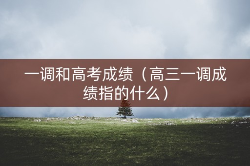 一调和高考成绩(高三一调成绩指的什么) 一调和高考成绩(高三一调成绩指的什么)