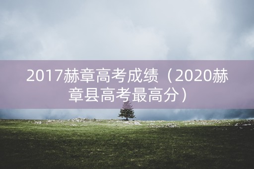 2017赫章高考成绩（2020赫章县高考最高分）