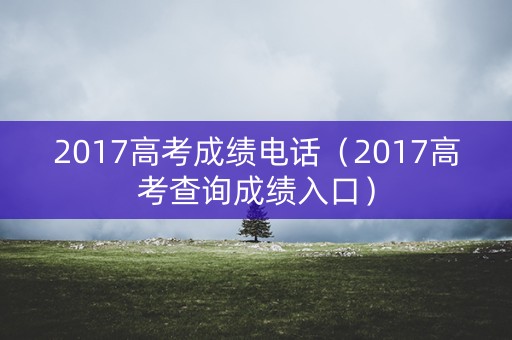2017高考成绩电话（2017高考查询成绩入口）