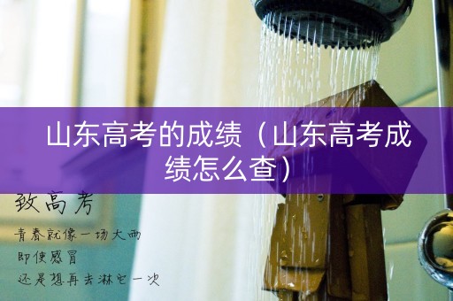 山东高考的成绩（山东高考成绩怎么查）