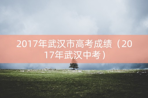 2017年武汉市高考成绩（2017年武汉中考）