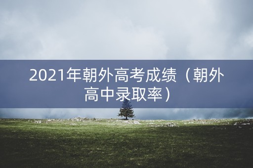 2021年朝外高考成绩（朝外高中录取率）