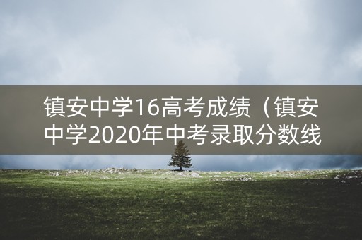 镇安中学16高考成绩（镇安中学2020年中考录取分数线）