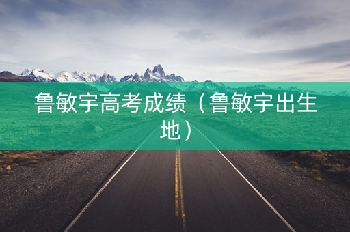 鲁敏宇高考成绩（鲁敏宇出生地）