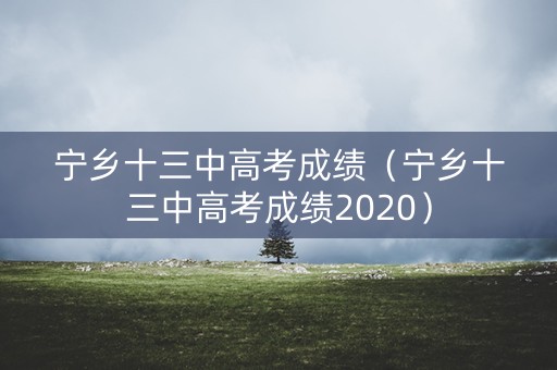 宁乡十三中高考成绩（宁乡十三中高考成绩2020）