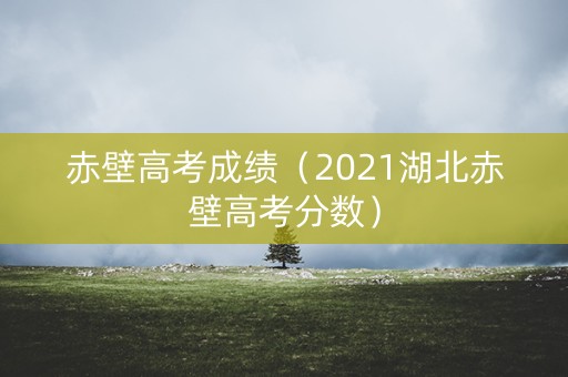 赤壁高考成绩（2021湖北赤壁高考分数）