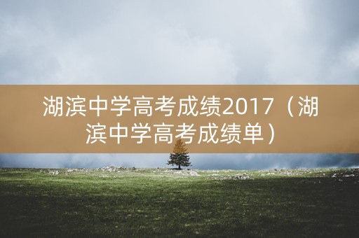 湖滨中学高考成绩2017（湖滨中学高考成绩单）