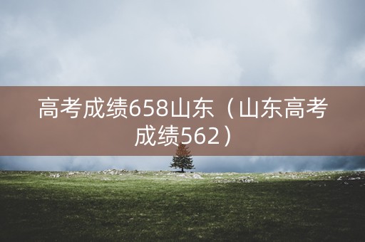 高考成绩658山东（山东高考成绩562）