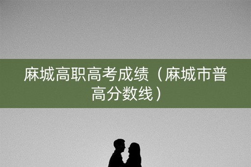 麻城高职高考成绩（麻城市普高分数线）