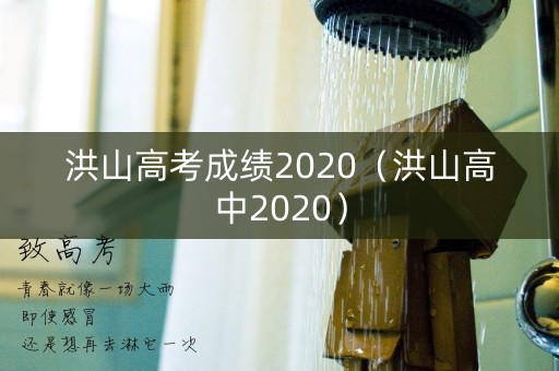 洪山高考成绩2020（洪山高中2020）