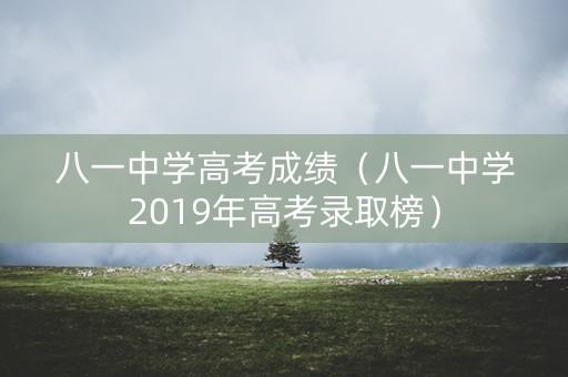 八一中学高考成绩（八一中学2019年高考录取榜）