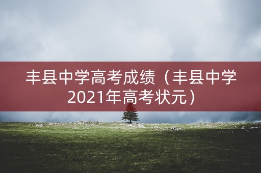 丰县中学高考成绩（丰县中学2021年高考状元）