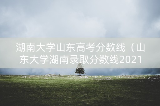 湖南大学山东高考分数线（山东大学湖南录取分数线2021）