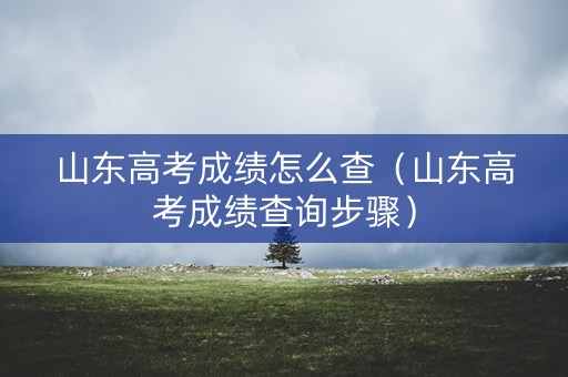 山东高考成绩怎么查（山东高考成绩查询步骤）