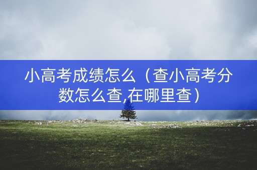 小高考成绩怎么（查小高考分数怎么查,在哪里查）