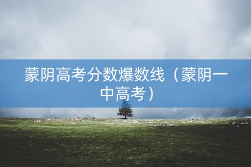 蒙阴高考分数爆数线（蒙阴一中高考）