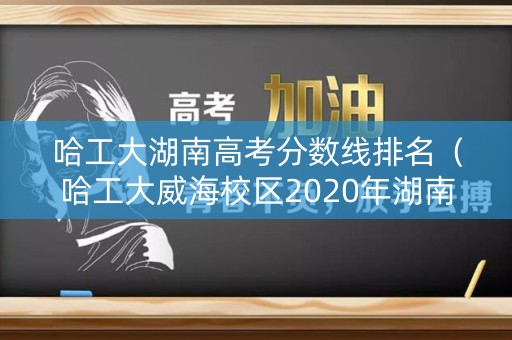 哈工大湖南高考分数线排名（哈工大威海校区2020年湖南录取分数线）