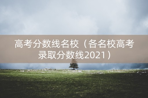 高考分数线名校（各名校高考录取分数线2021）