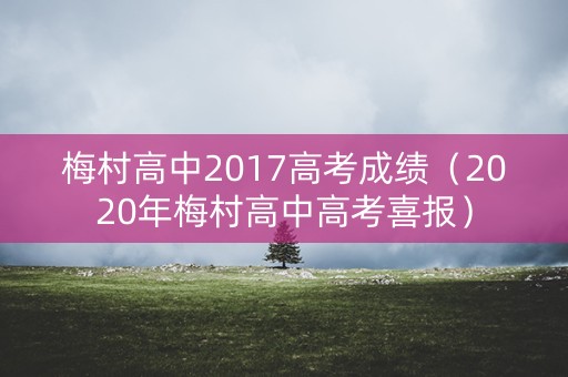 梅村高中2017高考成绩（2020年梅村高中高考喜报）