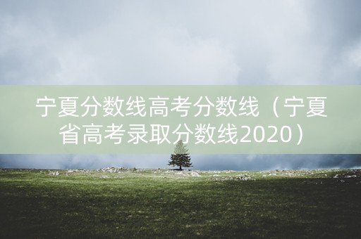 宁夏分数线高考分数线(宁夏省高考录取分数线2020) 宁夏分数线高考分数线(宁夏省高考录取分数线2020)