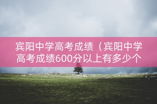 宾阳中学高考成绩(宾阳中学高考成绩600分以上有多少个?) 宾阳中学高考成绩(宾阳中学高考成绩600分以上有多少个?)