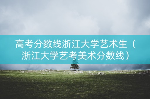 高考分数线浙江大学艺术生（浙江大学艺考美术分数线）