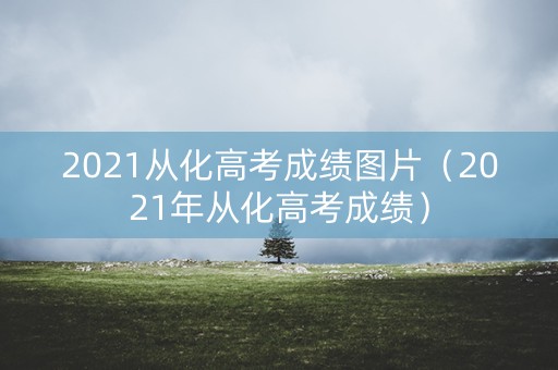 2021从化高考成绩图片（2021年从化高考成绩）