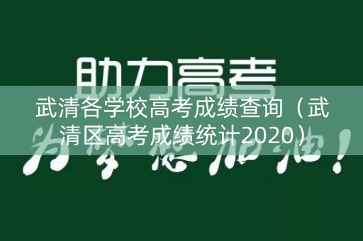 武清各学校高考成绩查询（武清区高考成绩统计2020）