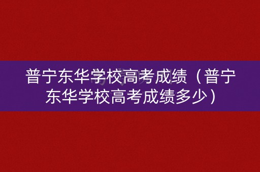 普宁东华学校高考成绩（普宁东华学校高考成绩多少）