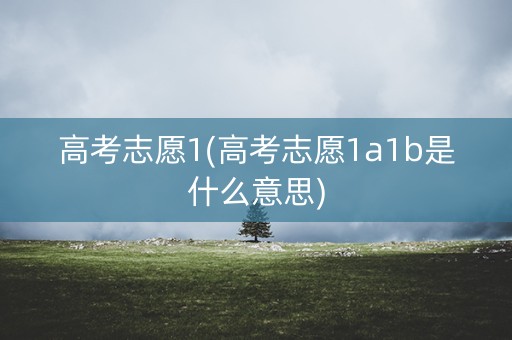 高考志愿1(高考志愿1a1b是什么意思)