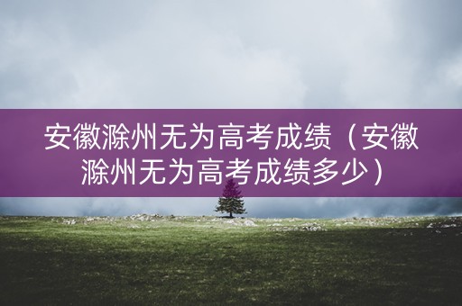 安徽滁州无为高考成绩（安徽滁州无为高考成绩多少）