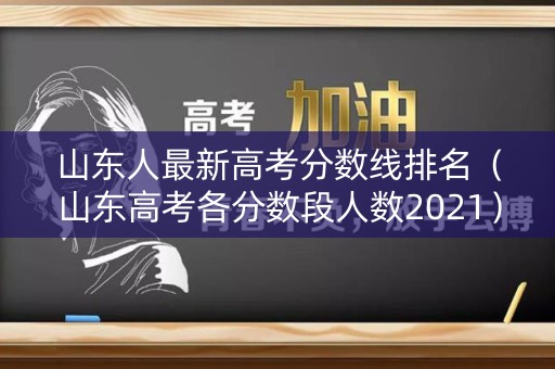 山东人最新高考分数线排名（山东高考各分数段人数2021）