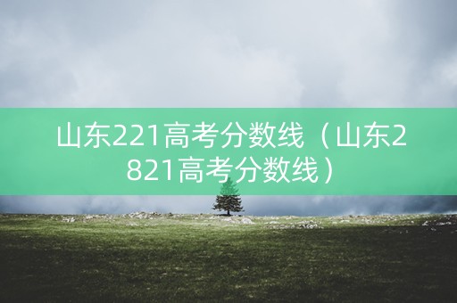 山东221高考分数线（山东2821高考分数线）