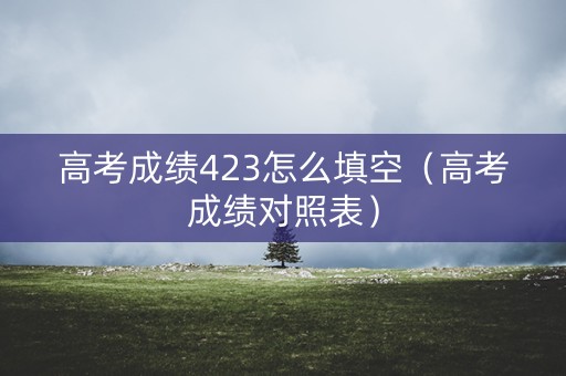 高考成绩423怎么填空（高考成绩对照表）