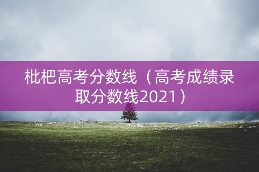 枇杷高考分数线（高考成绩录取分数线2021）