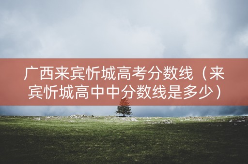 广西来宾忻城高考分数线（来宾忻城高中中分数线是多少）