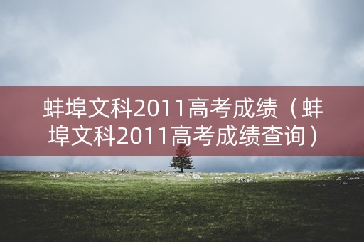 蚌埠文科2011高考成绩（蚌埠文科2011高考成绩查询）