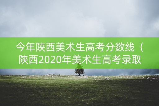今年陕西美术生高考分数线(陕西2020年美术生高考录取分数线) 今年陕西美术生高考分数线(陕西2020年美术生高考录取分数线)