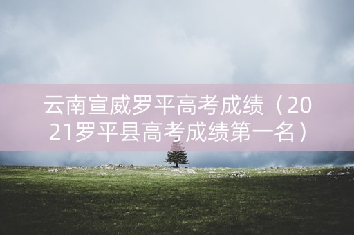 云南宣威罗平高考成绩（2021罗平县高考成绩第一名）