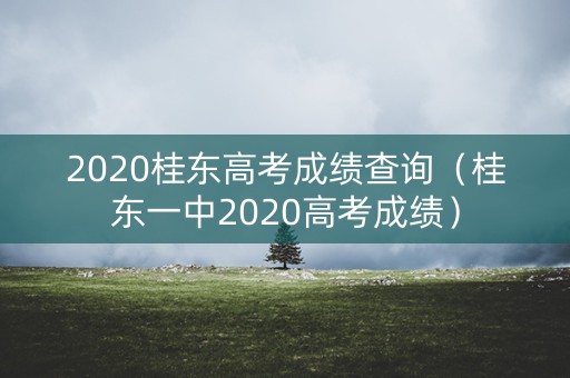 2020桂东高考成绩查询(桂东一中2020高考成绩) 2020桂东高考成绩查询(桂东一中2020高考成绩)