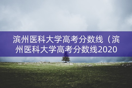 滨州医科大学高考分数线（滨州医科大学高考分数线2020）