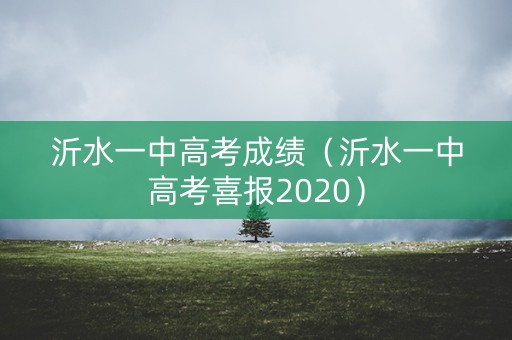 沂水一中高考成绩（沂水一中高考喜报2020）