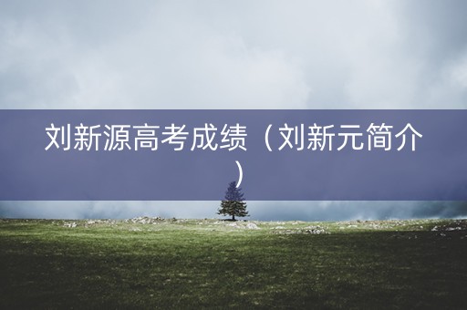 刘新源高考成绩（刘新元简介）