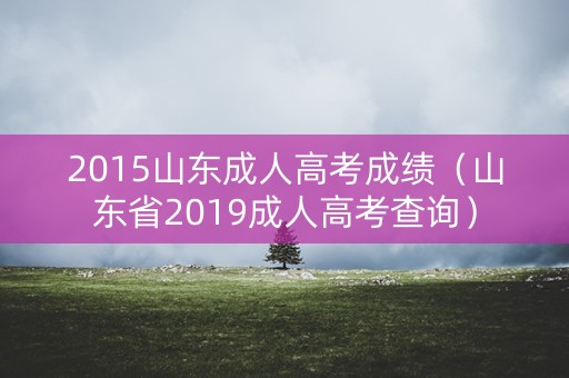 2015山东成人高考成绩(山东省2019成人高考查询) 2015山东成人高考成绩(山东省2019成人高考查询)