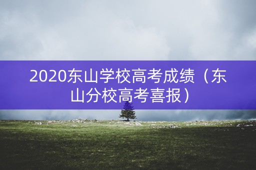 2020东山学校高考成绩（东山分校高考喜报）