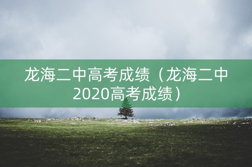 龙海二中高考成绩（龙海二中2020高考成绩）