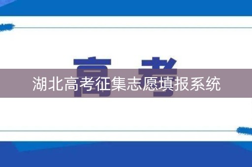 湖北高考征集志愿填报系统