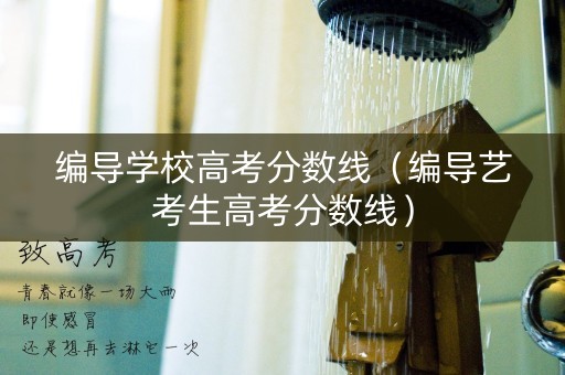 编导学校高考分数线（编导艺考生高考分数线）