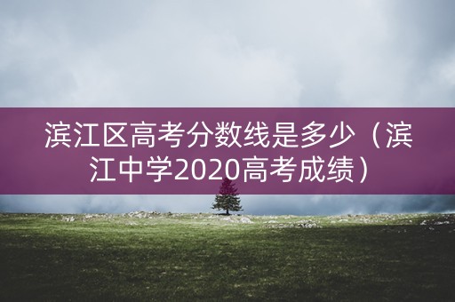 滨江区高考分数线是多少（滨江中学2020高考成绩）